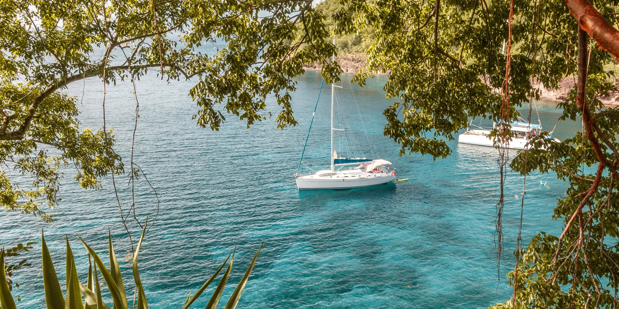 Martinique vom ufer blick aufs meer mit 2 segelbooten tauchen mit haien